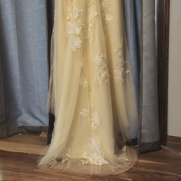 Champagne Color Wedding Gown w/ Floral Appliqués, fit similar street 14-16 - Picture 4 of 4